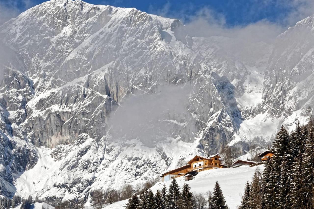 Gut Stein Panoramalodge Mühlbach am Hochkönig Екстериор снимка