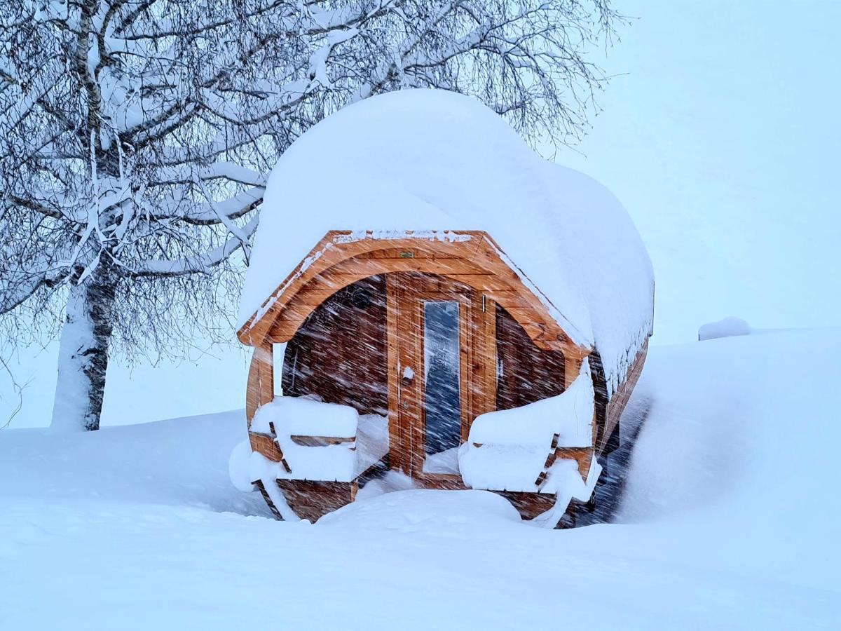 Gut Stein Panoramalodge Mühlbach am Hochkönig Екстериор снимка
