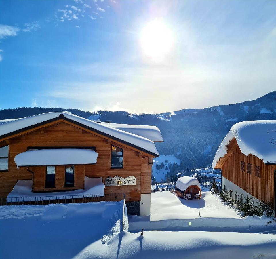 Gut Stein Panoramalodge Mühlbach am Hochkönig Екстериор снимка